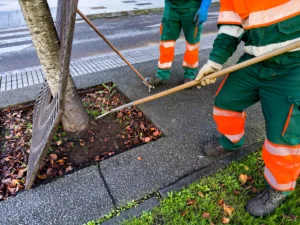 Cura del verde pubblico: bellezza, sicurezza e vivibilità per comunità e territori