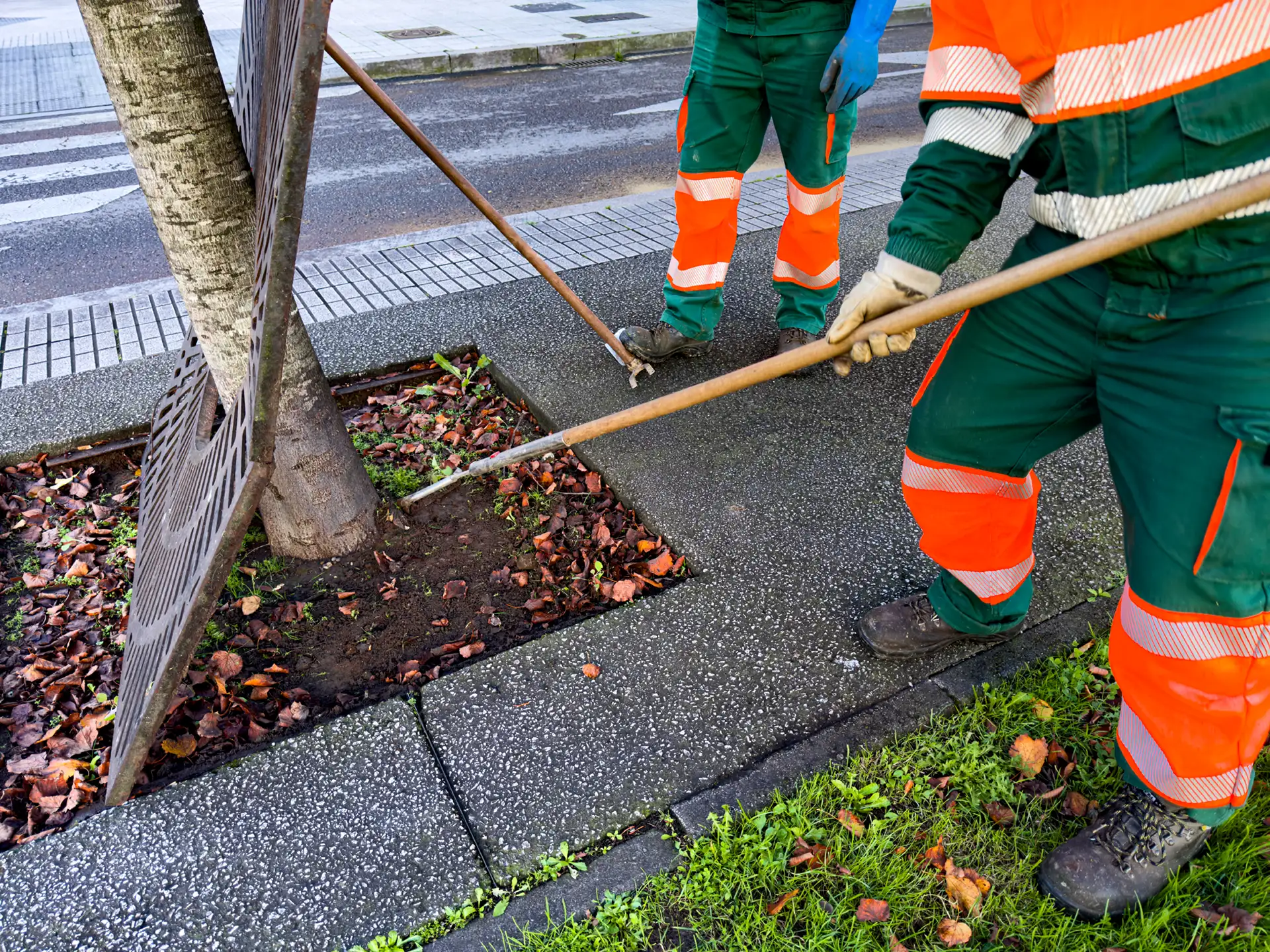 Cura del verde pubblico: bellezza, sicurezza e vivibilità per comunità e territori
