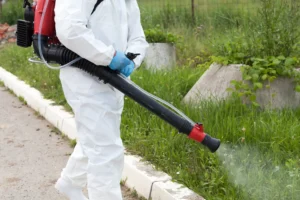 Disinfestazione zanzare: come prevenire infestazioni in estate